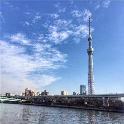 楚国霸业官方(暂未上线)v1.3 安卓版