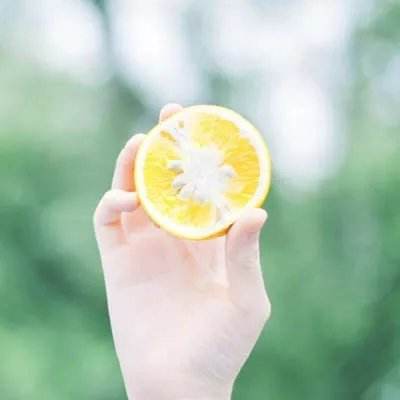 疯狂的年兽手游变态版下载