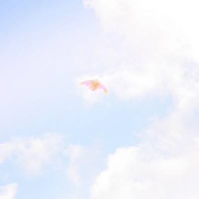 哥哥一起斗地主官方下载